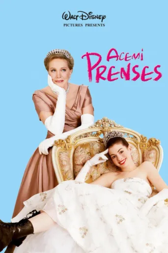 Постер Acemi Prenses