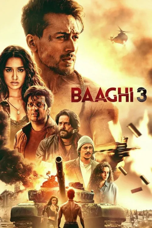 बाघी ३