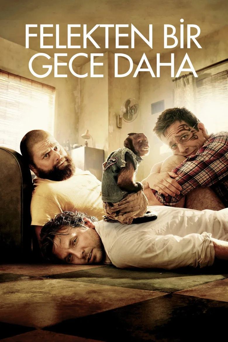 Felekten Bir Gece Daha posteri