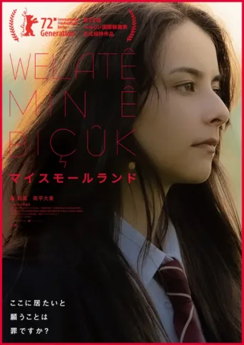 Póster de Küçük Ülkem