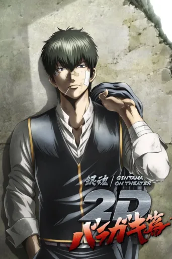 Póster de Gintama on Theater 2D: Baragaki-hen