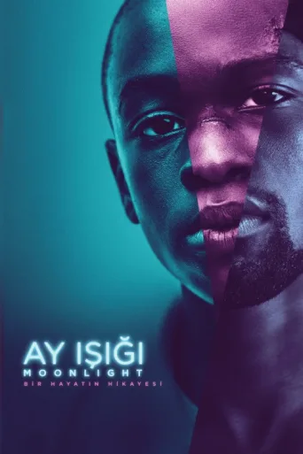 Постер Ay Işığı