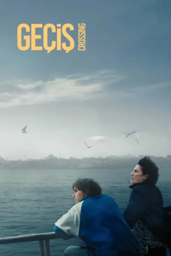 Póster de Geçiş
