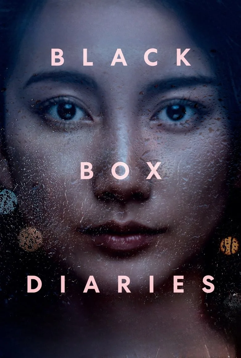 póster de Black Box Diaries