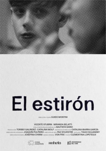 Póster de El estirón