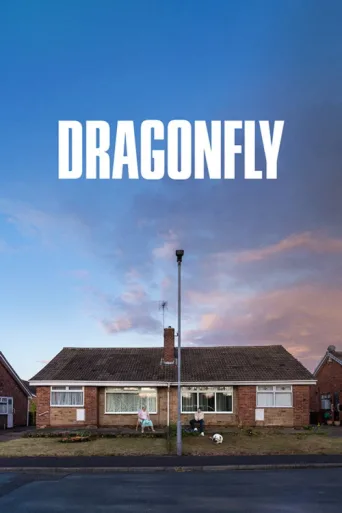 Dragonfly afişi