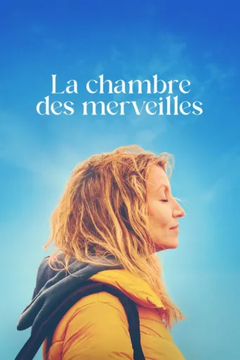Постер La Chambre des merveilles