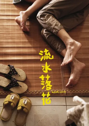 Póster de Lost Love