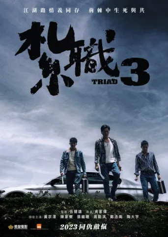 Póster de Triad 3
