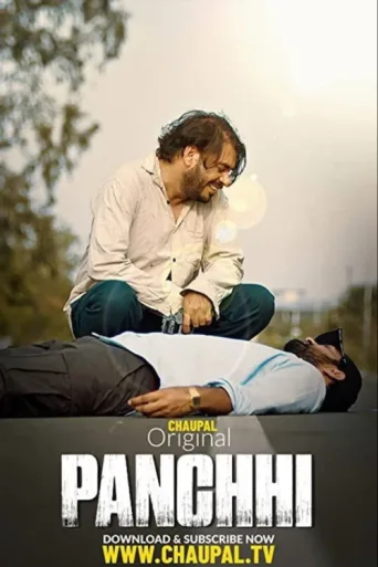 Постер Panchhi