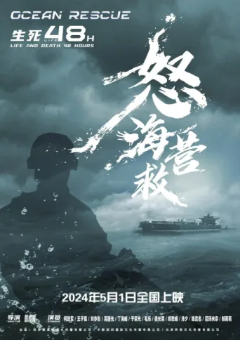 Póster de 怒海营救