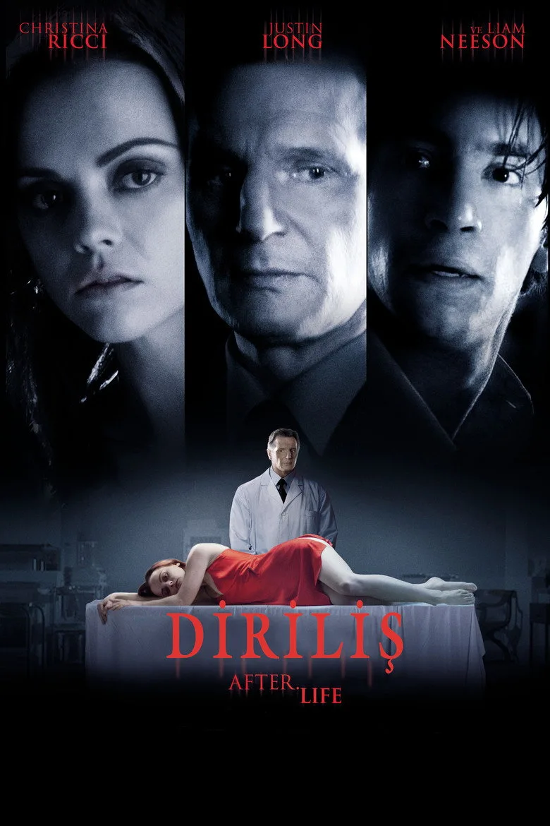 постер Diriliş