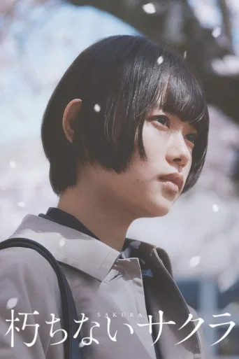 Poster for Sakura