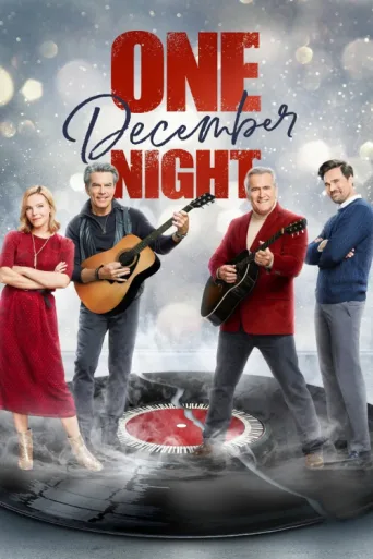 ملصق One December Night