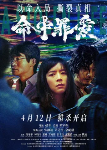 Poster for A Stolen Life