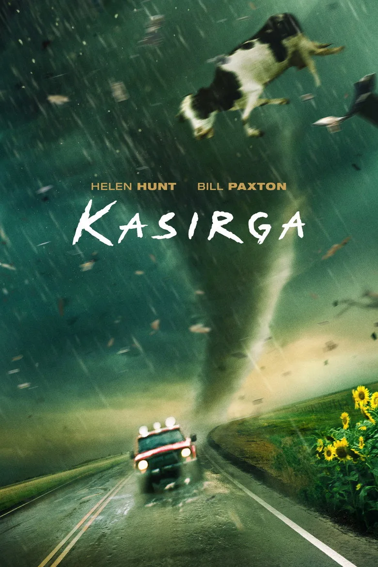 Kasırga poster