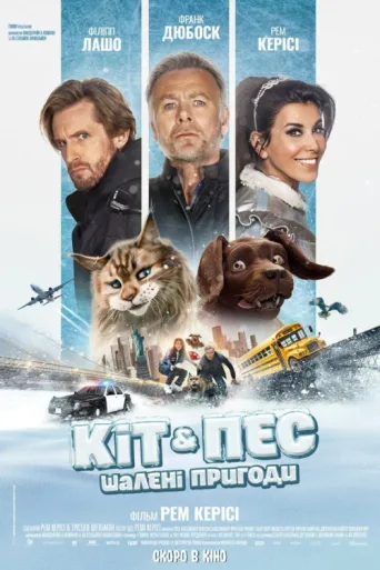 Póster de Chien et Chat