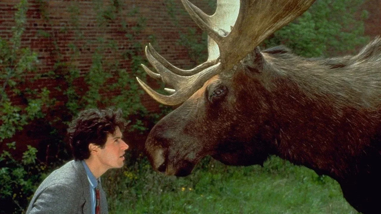 خلفية لـ Northern Exposure