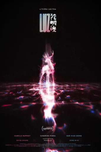 Poster for Luz