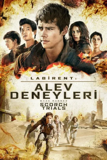 Постер Labirent: Alev Deneyleri