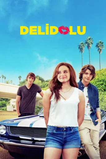 Постер Delidolu