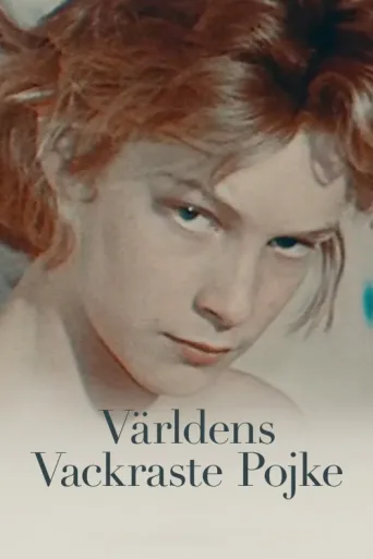 Póster de Världens vackraste pojke