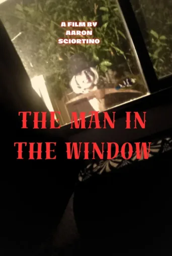 ملصق The man in the window