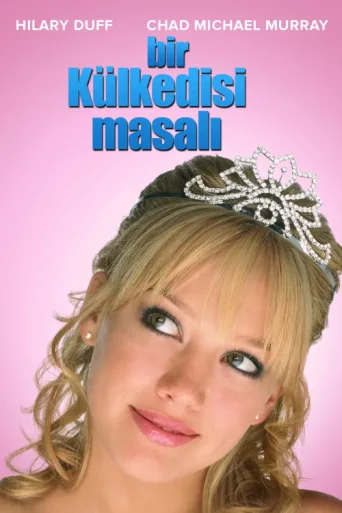 Póster de Bir Külkedisi Masalı