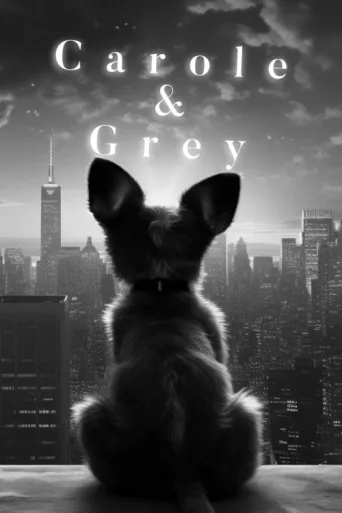 Постер Carole & Grey