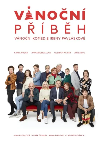 Vánoční příběh afişi