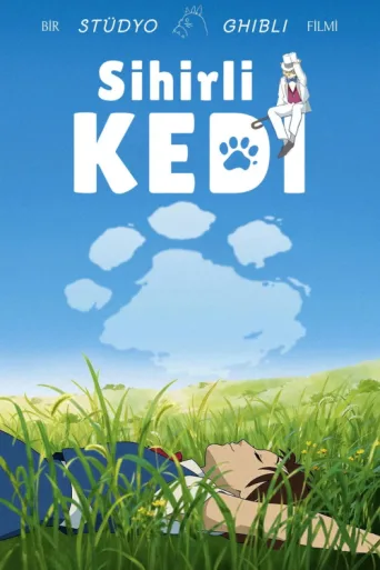 Póster de Sihirli Kedi
