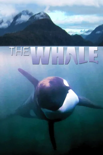 The Whale afişi