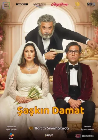 Póster de Şaşkın Damat