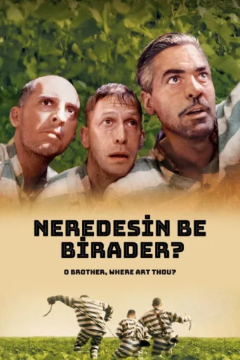Постер Neredesin Be Birader?