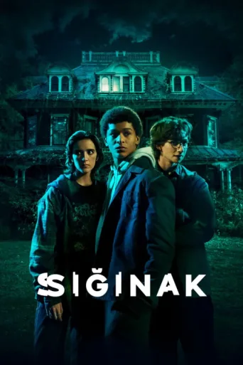 Póster de Sığınak