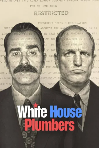 ملصق White House Plumbers
