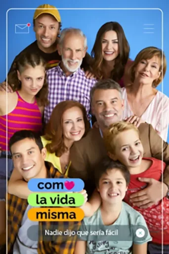 Póster de Como la vida misma