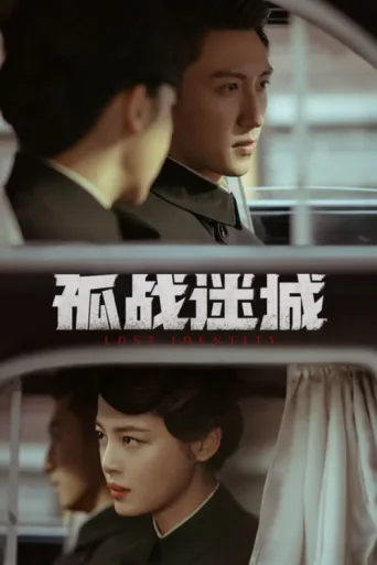 Poster for Lost Identity