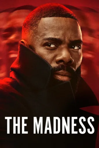 Póster de The Madness