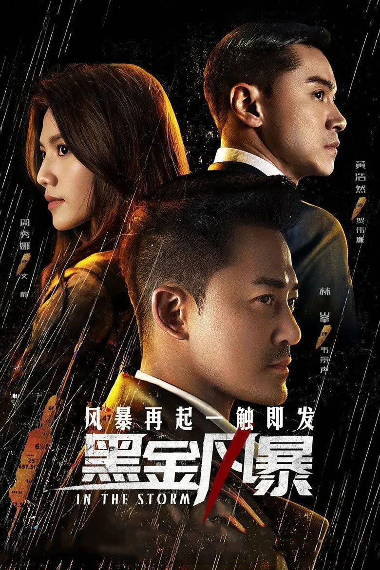 In the Storm posteri