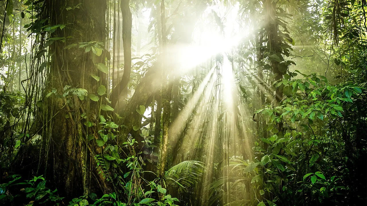 Фоновое изображение для The Green Planet