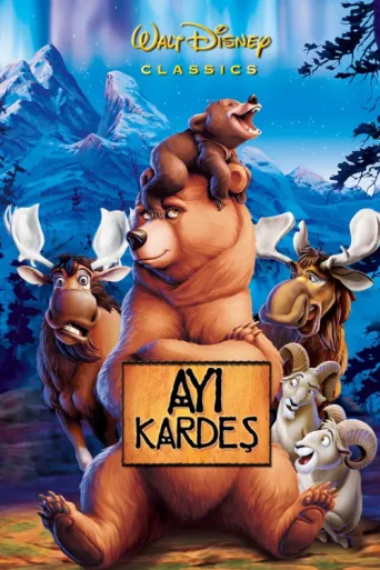 Póster de Ayı Kardeş