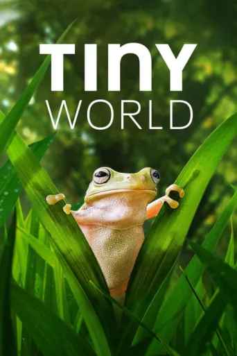 Tiny World afişi