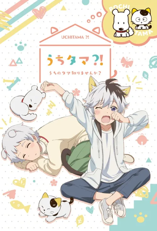 うちタマ?! ～うちのタマ知りませんか？～