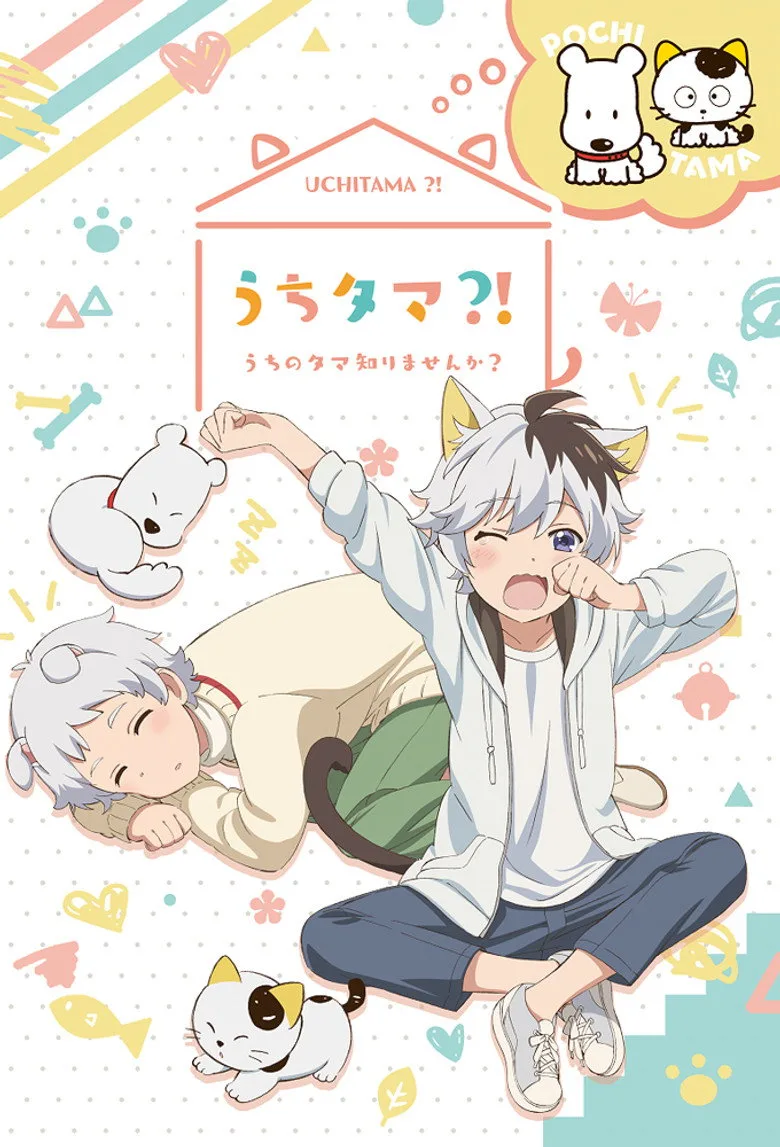Credit poster