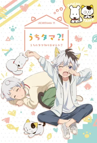 Póster de Uchitama?! Have You Seen My Tama?