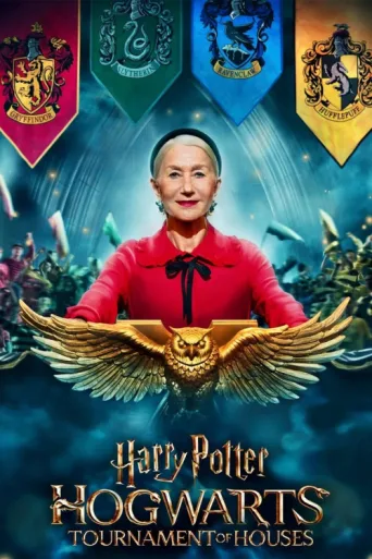 Poster for Harry Potter: Hogwarts Tournament of Houses