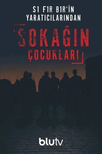 Poster for Sokağın Çocukları