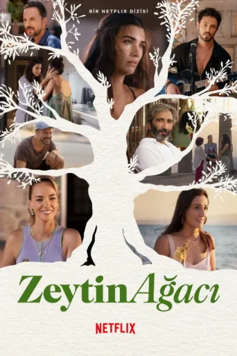 Постер Zeytin Ağacı
