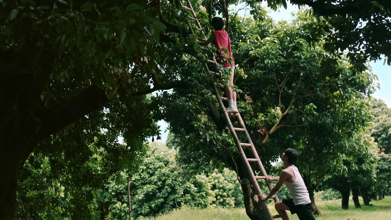 Фоновое изображение для Secrets Happened on the Litchi Island